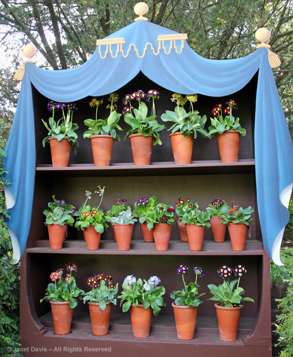 RED-002-Auricula-Theatre