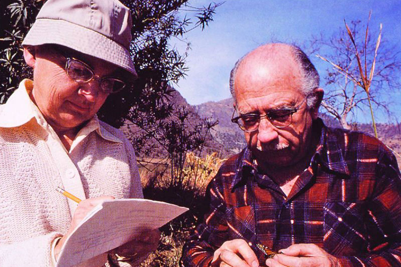 Norah and Fred Urquhart working on their monarch research. Photo source: biology-forums.com 