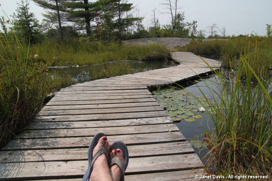 Bridge lounging-Torrance Barrens