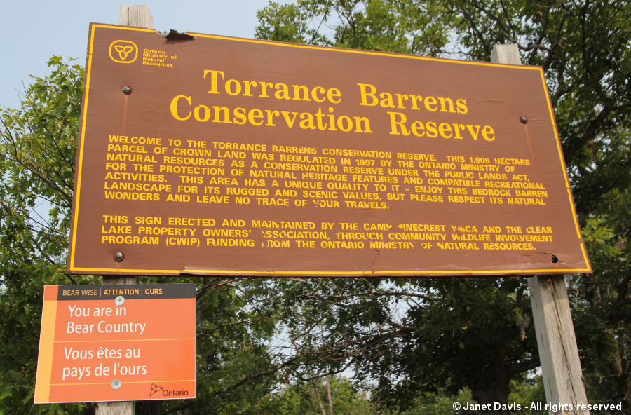 Torrance Barrens-bear country