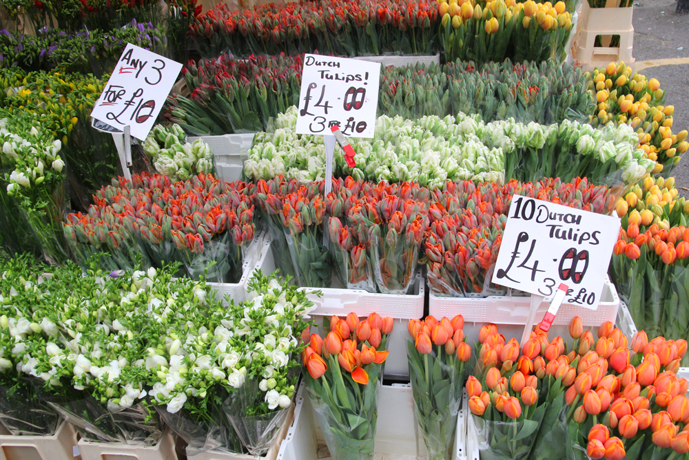 Tulips at Columbia Road Flower Market