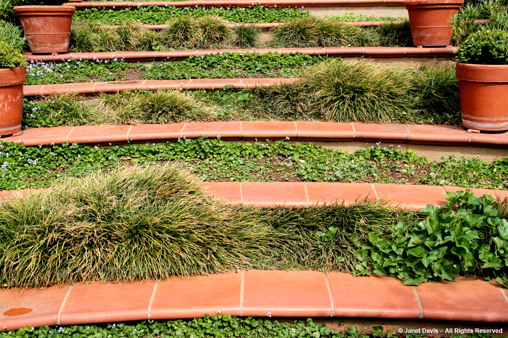 Planted steps