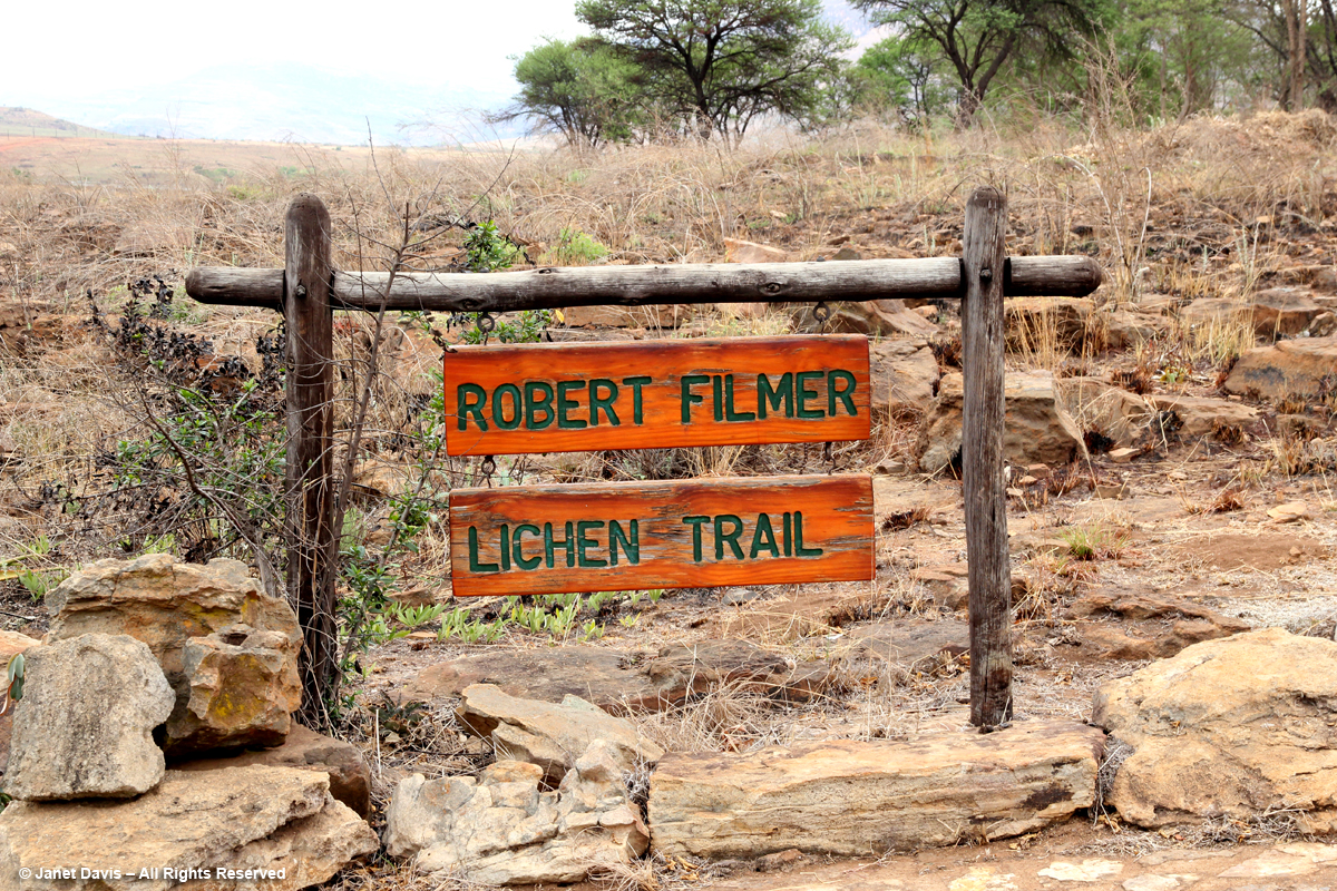 Robert Filmer Lichen Trail