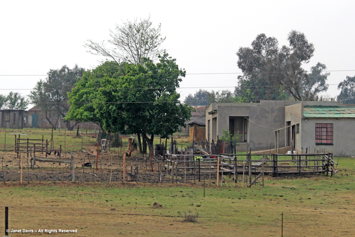 Rural house & farmyard-Mpumalanga