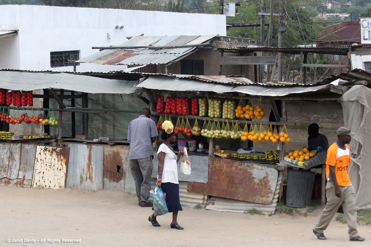 Fruit-Vendor-Limpopo