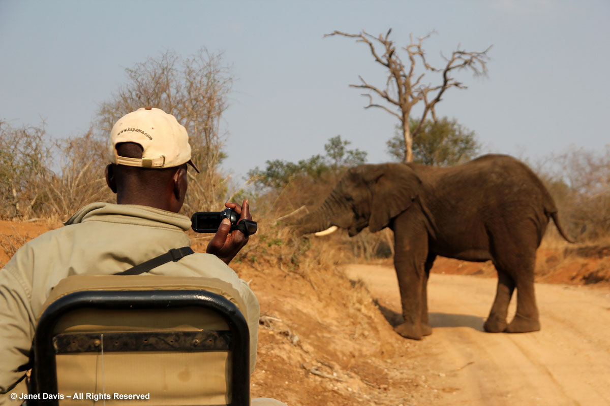 Willis filming elephant-Kapama