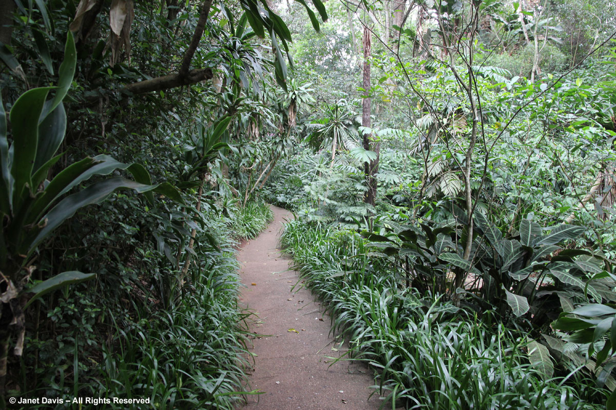 Path to waterfall-Makaranga