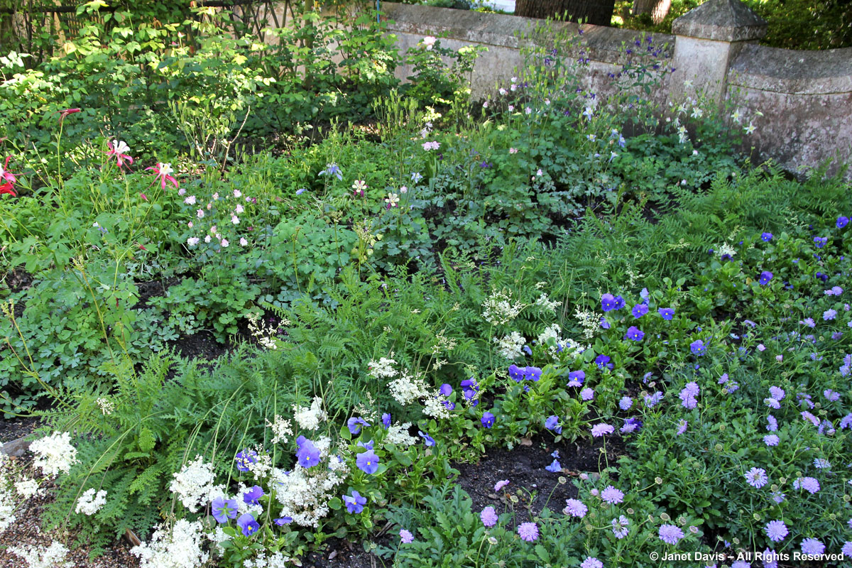 Medieval Garden-Flowers-Stellenberg