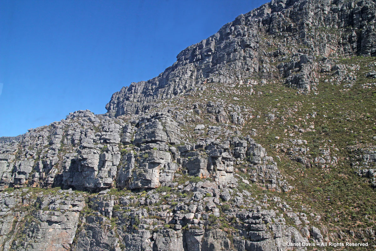 Table Mountain sandstone