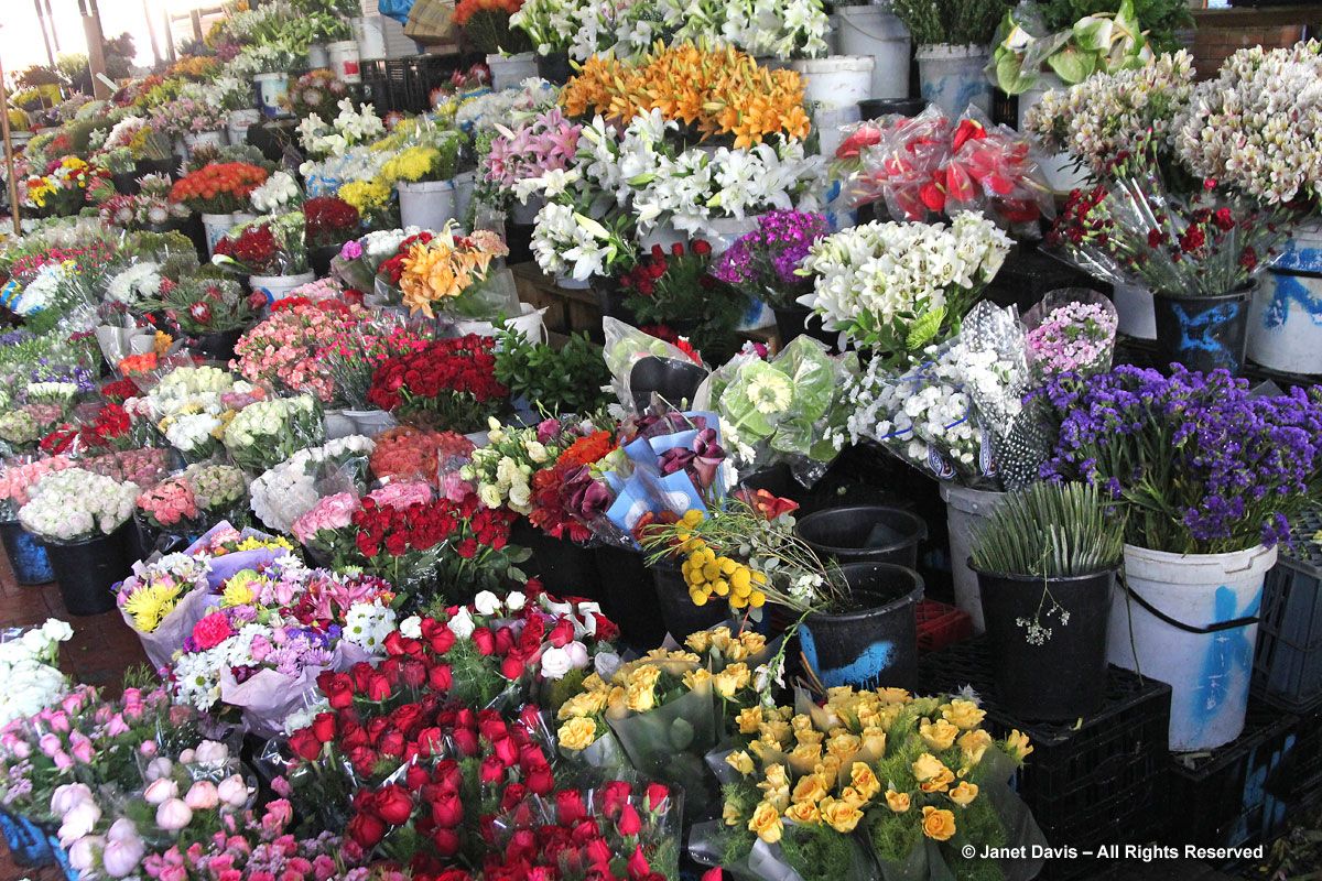 Adderley Street Flower Market-Capetown1
