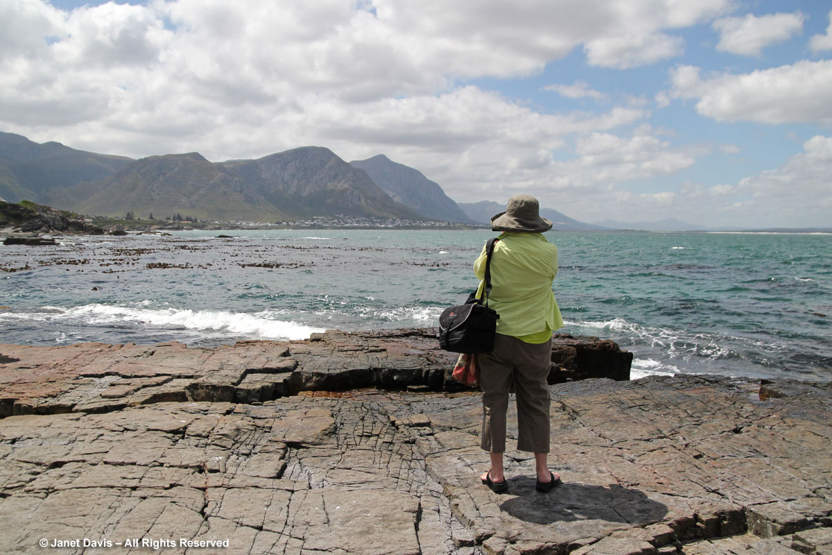 Janet-photographing whales in Hermanus 