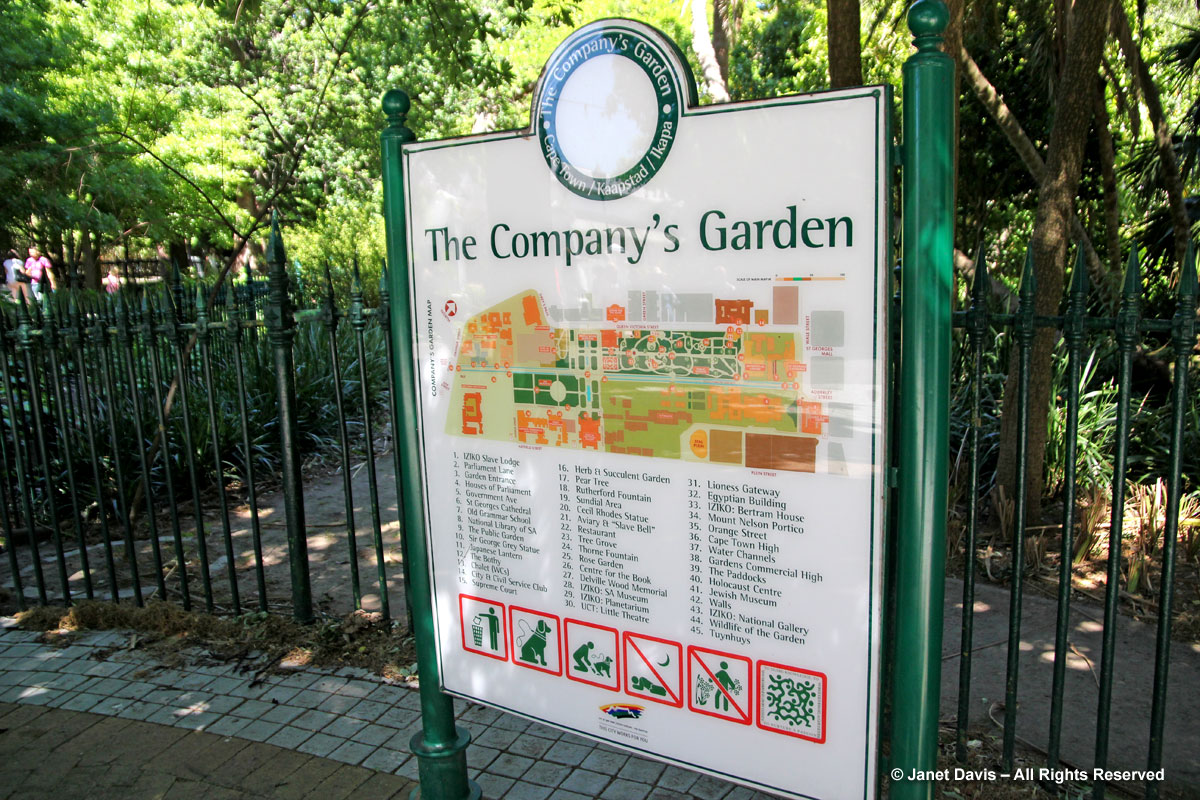 The Company's Garden-Cape Town