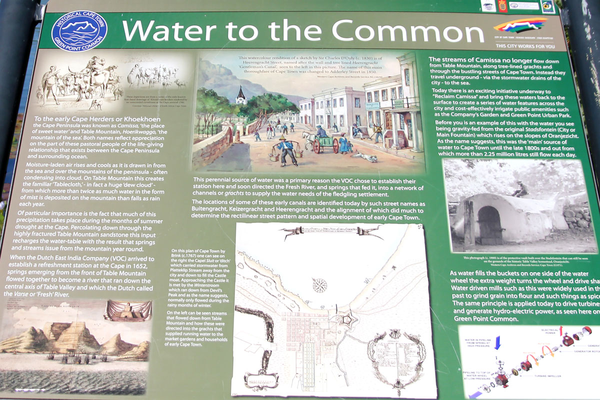Water to the Common-Green Point Biodiversity Park
