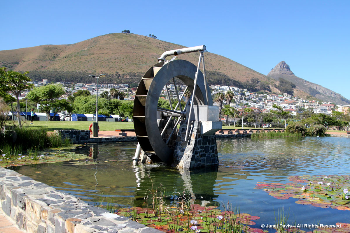 Water wheel-Green Point Biodiversity Park