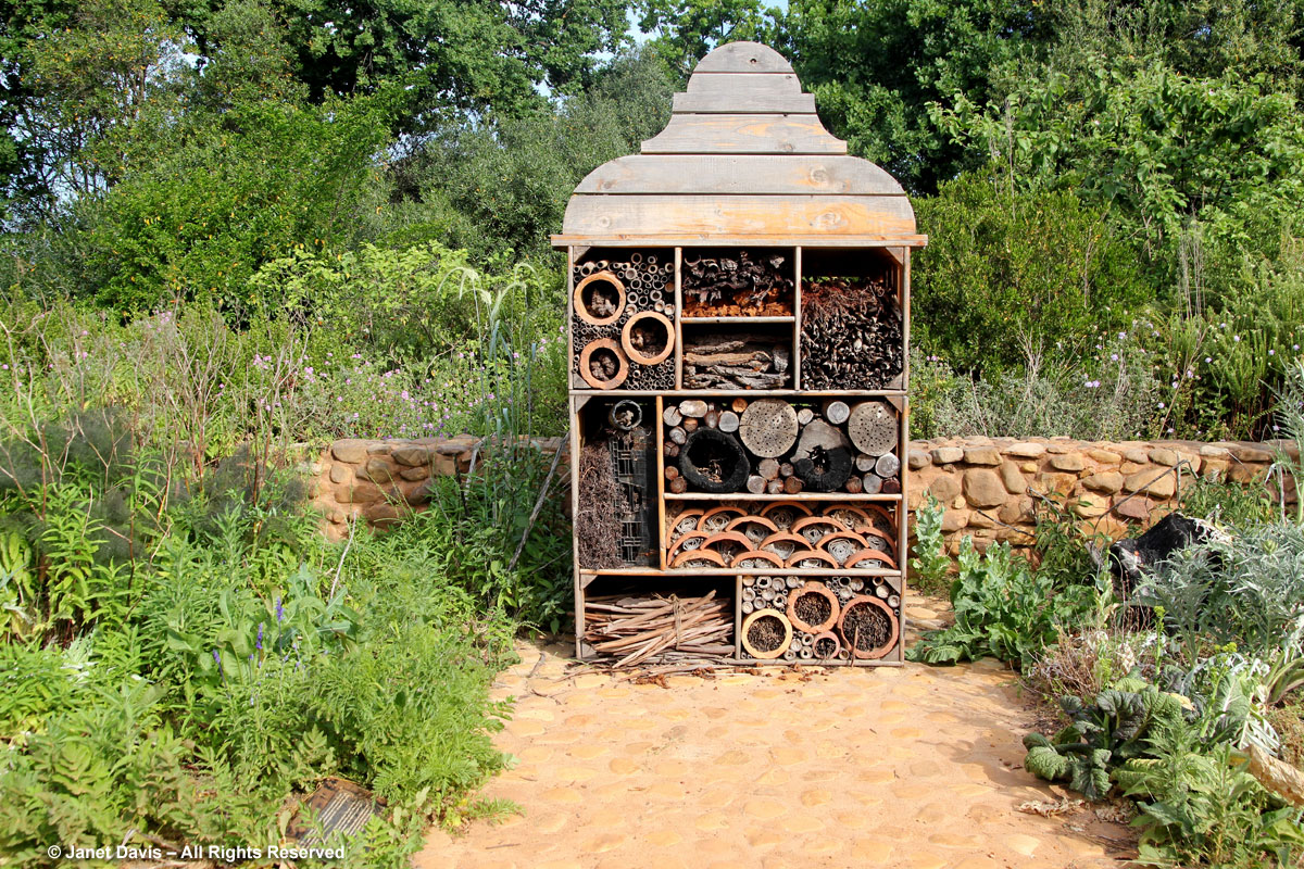 30-Bee Nesting Habitat-Babylonstoren