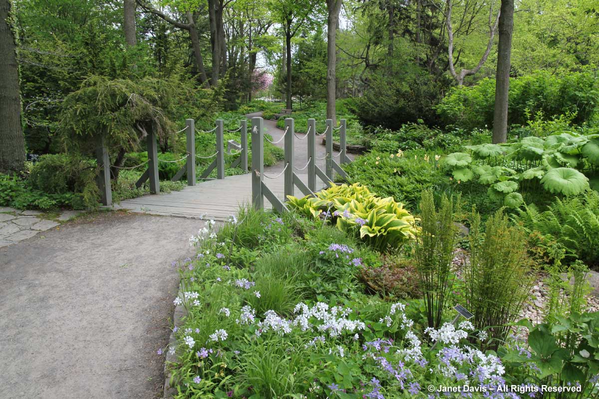 Bridge-Shade Garden-Montreal Botanical Garden
