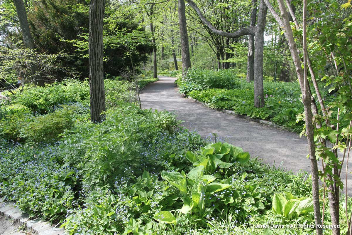 Shade Garden path-Montreal Botanical Garden