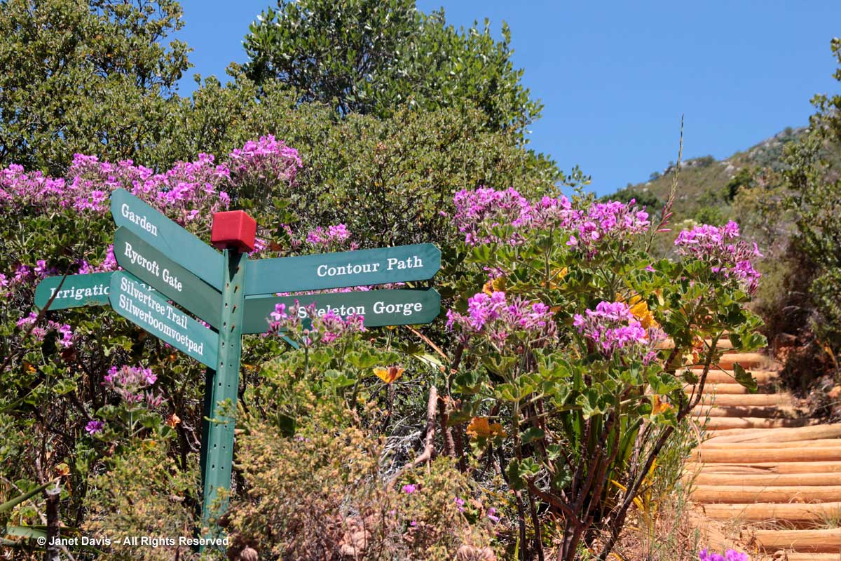 21-Garden Sign-Kirstenbosch