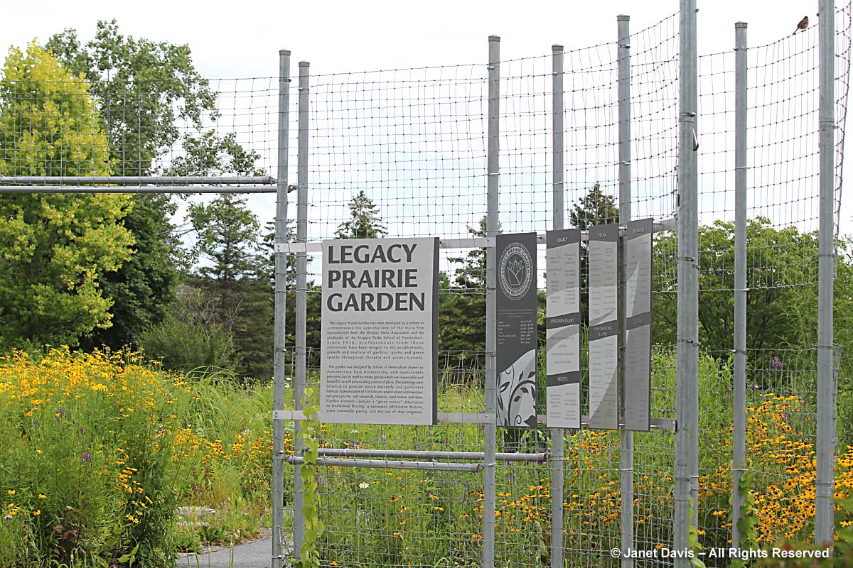 Legacy Prairie Entrance-Niagara Botanical Garden