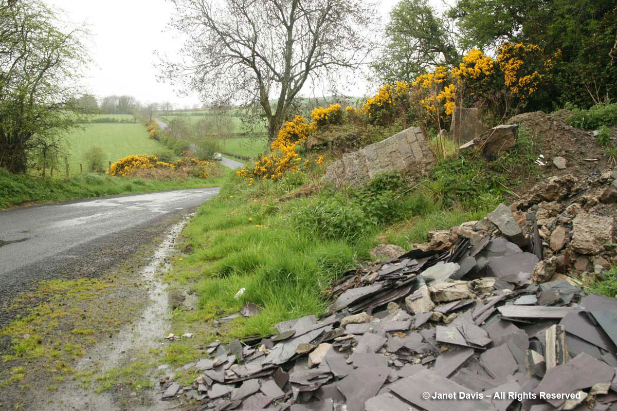 Campbell House & Blacksmith Shop ruins-County Down