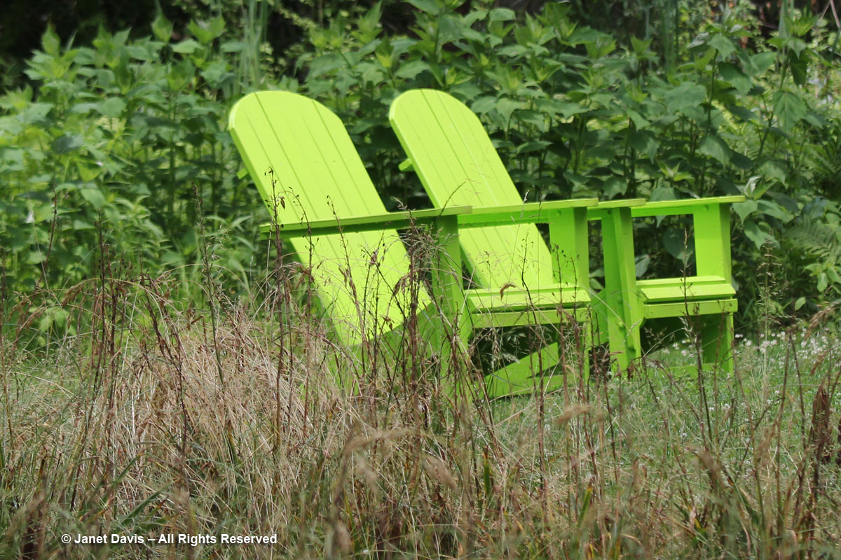 Chanticleer-Green chairs in Bell's Woodland