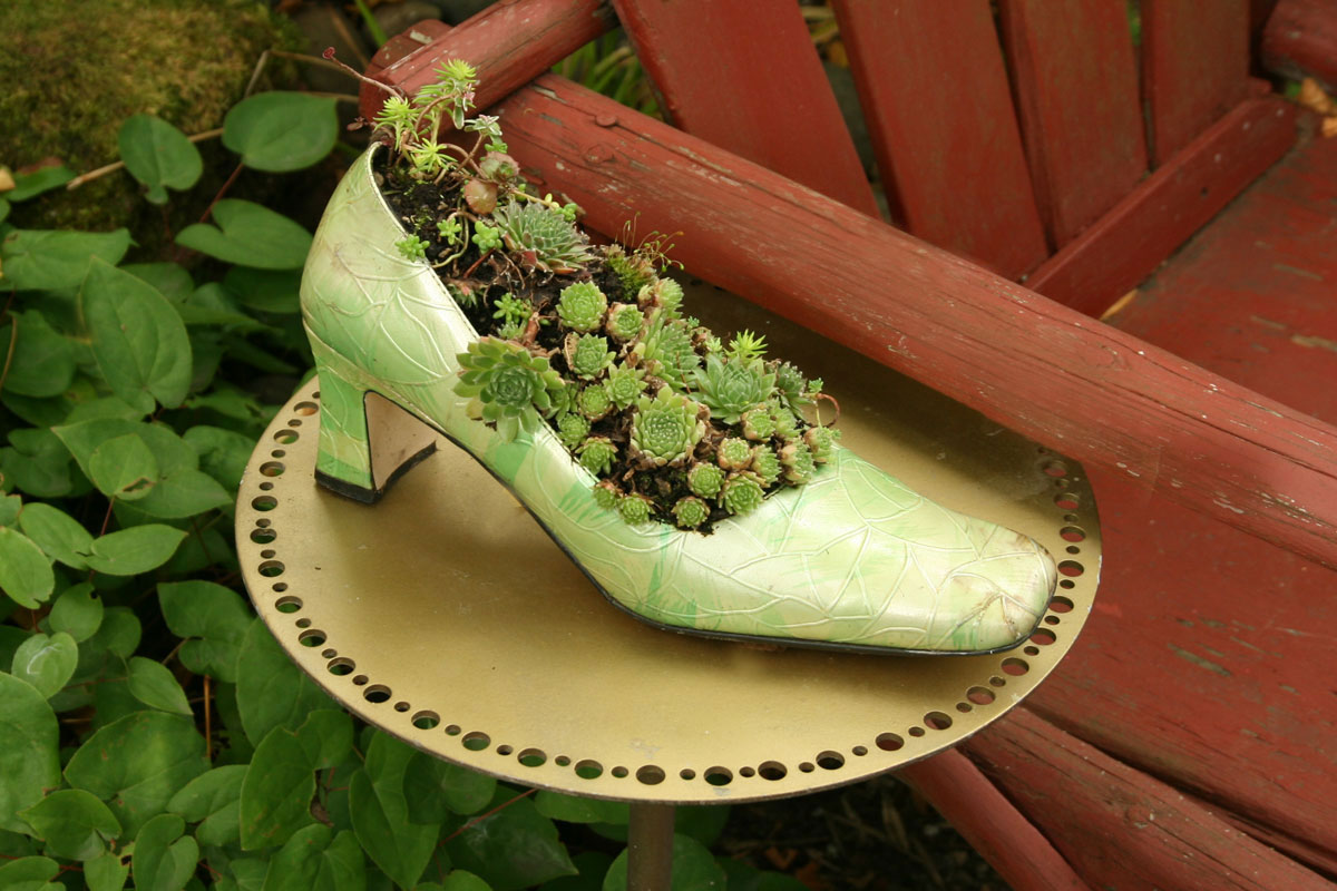 Nancy Goldman-Succulent High Heel