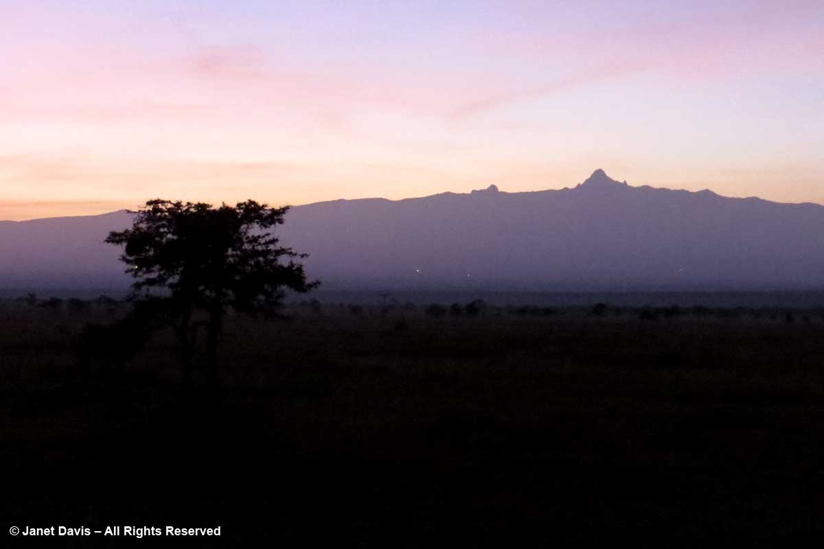Mount Kenya at dawn-Ol Pejeta-Kicheche