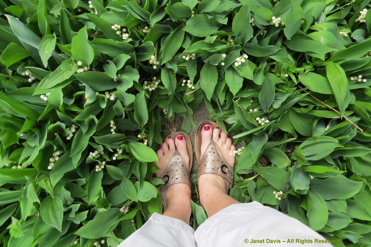04-Lily of the valley & my feet