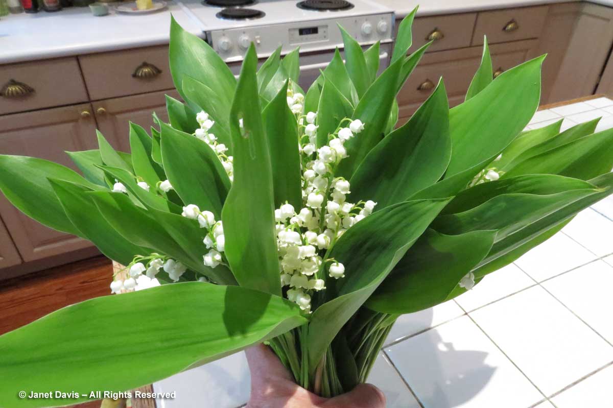 06-Lily-of-the-valley-bouqu
