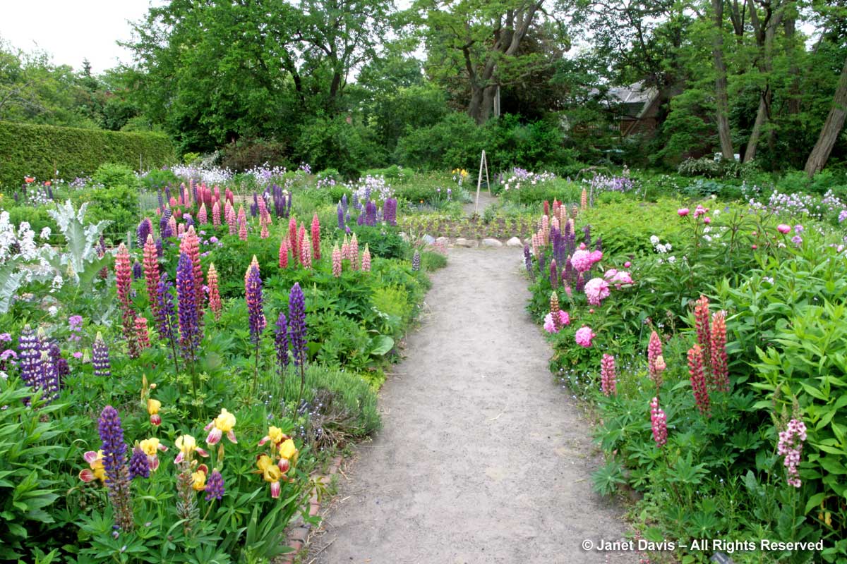 1-Spadina House gardens-early June