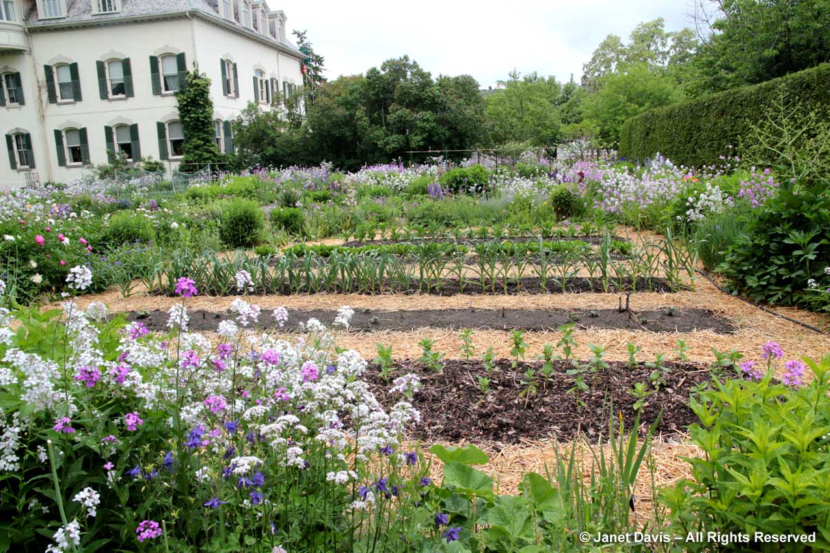 2-Vegetable garden-Spadina House