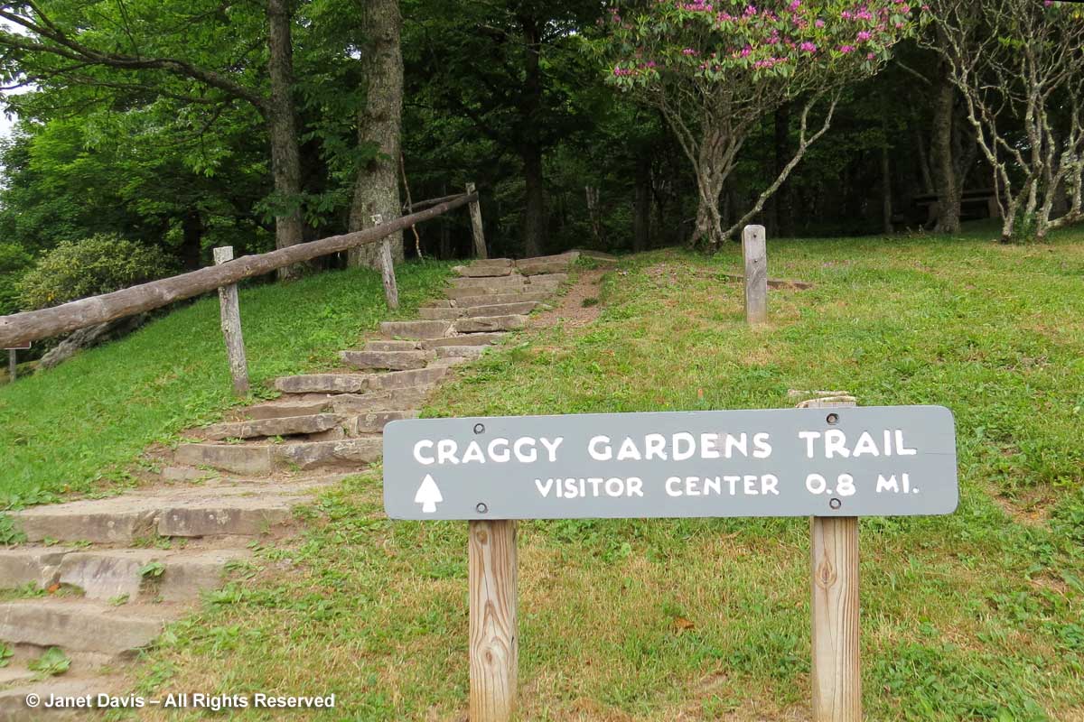 Craggy Gardens-Picnic Area