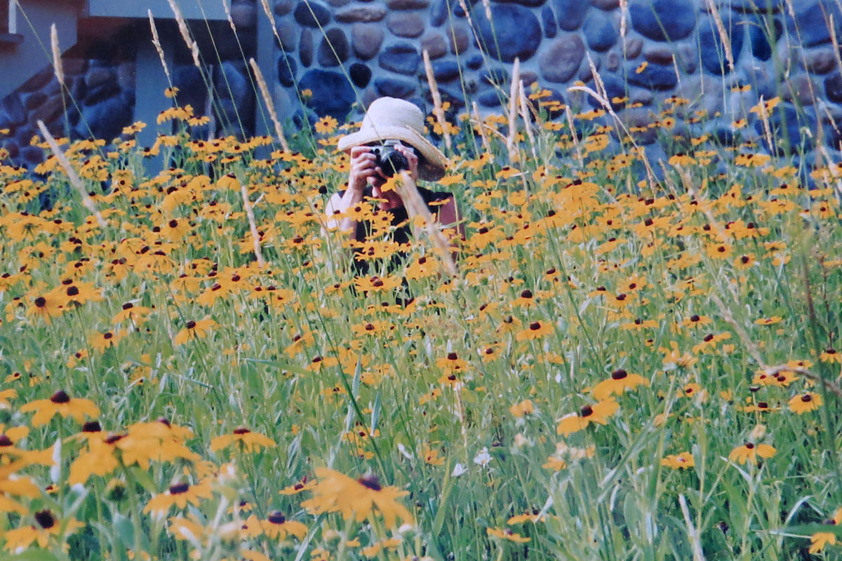 Janet Davis-Rudbeckia hirta