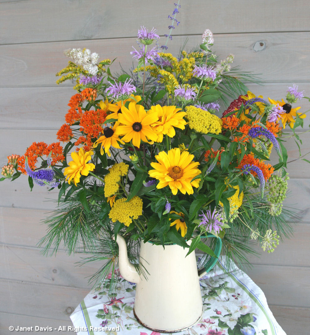 Rudbeckia hirta-in bouquet