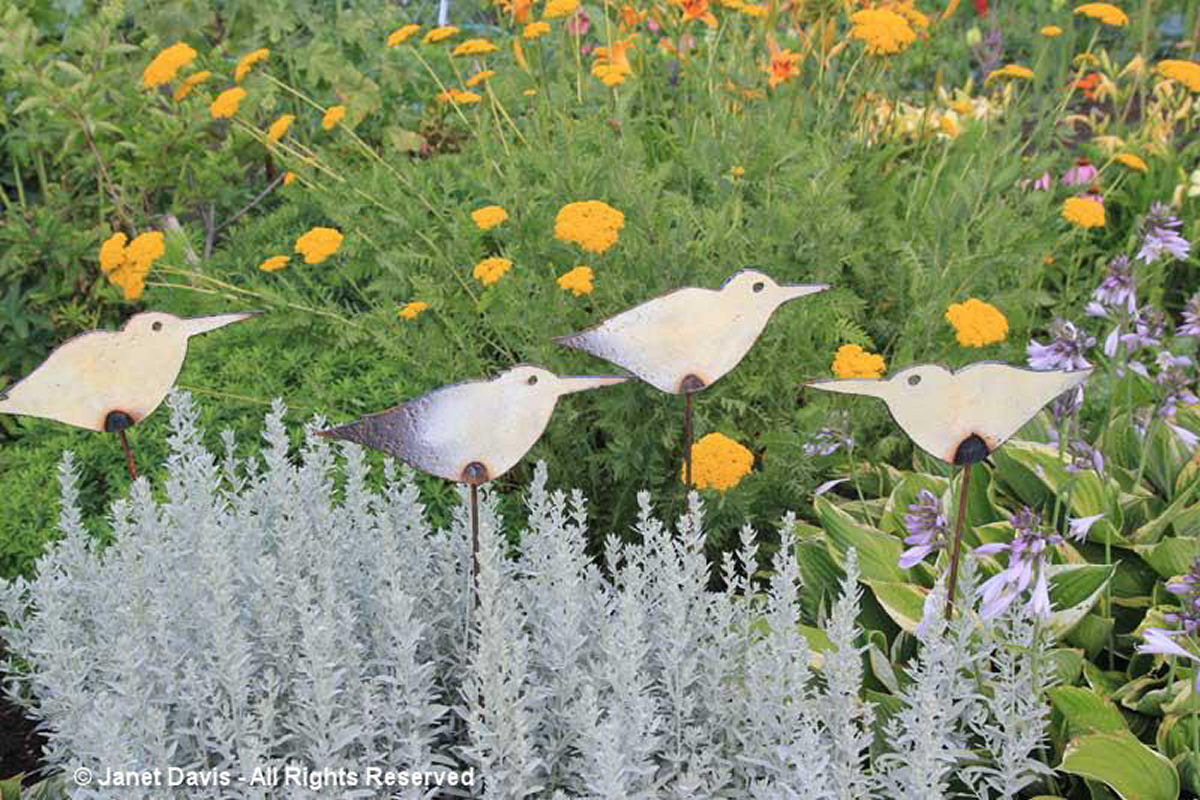 Artful Garden-Birds & Artemisia