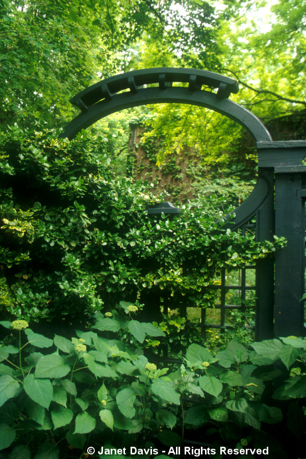 Black Garden Arch