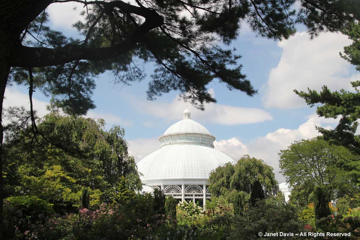 NYBG-Enid Haupt Conservatory Dome
