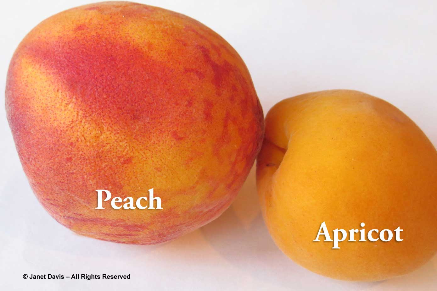 0-peach-apricot