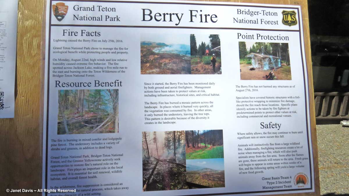 38-berry-fire-sign