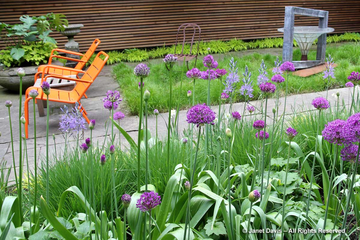 5-orange-chairs-purple-flowers