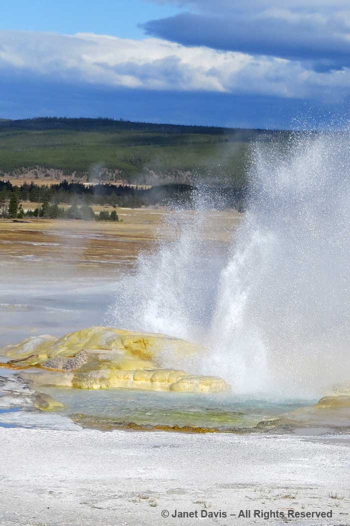 44-clepsydra-geyser-yellowstone