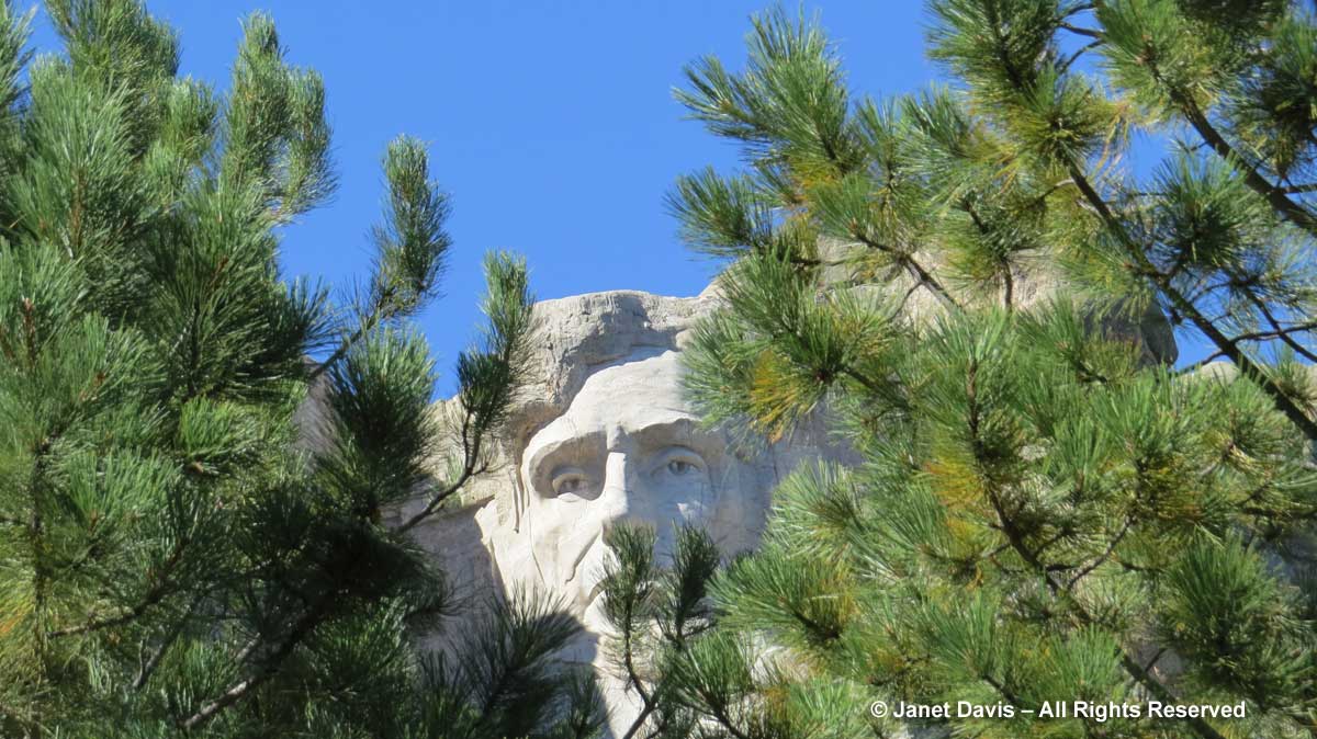 Abraham Lincoln-Mount Rushmore-Ponderosa pines