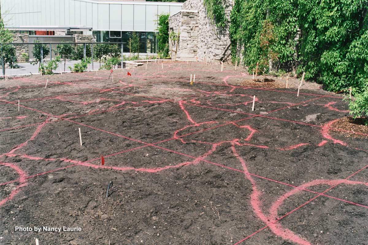 Construction-Planting Grid-Piet Oudolf-Toronto Botanical Garden