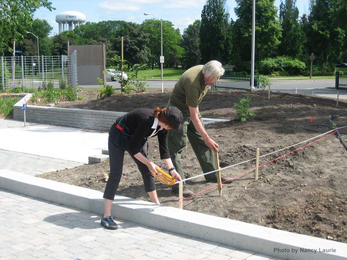 Constructon-Toronto Botanical Garden-Piet Oudolf Checking Grid.J