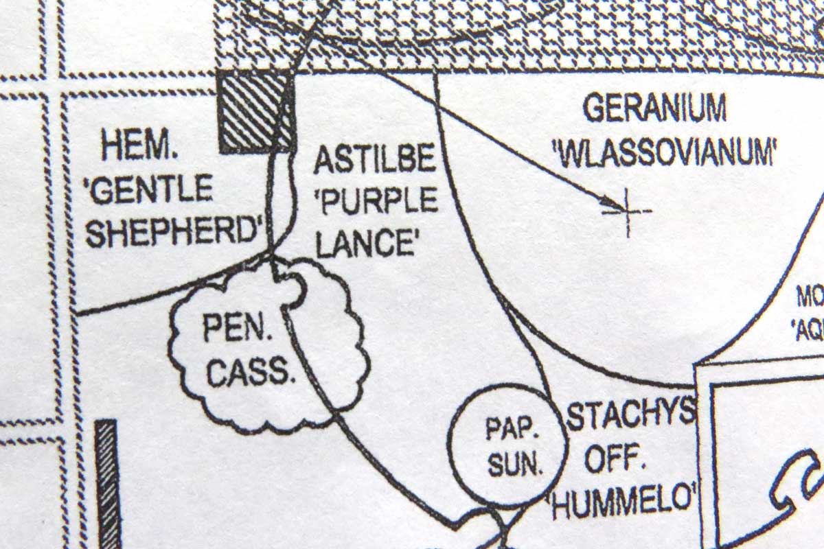 Design-Hemerocallis 'Gentle Shepherd' & Astilbe chinensis var. tacquetii 'Purpurlanze'-Piet Oudolf design-Toronto Botaniical Garden
