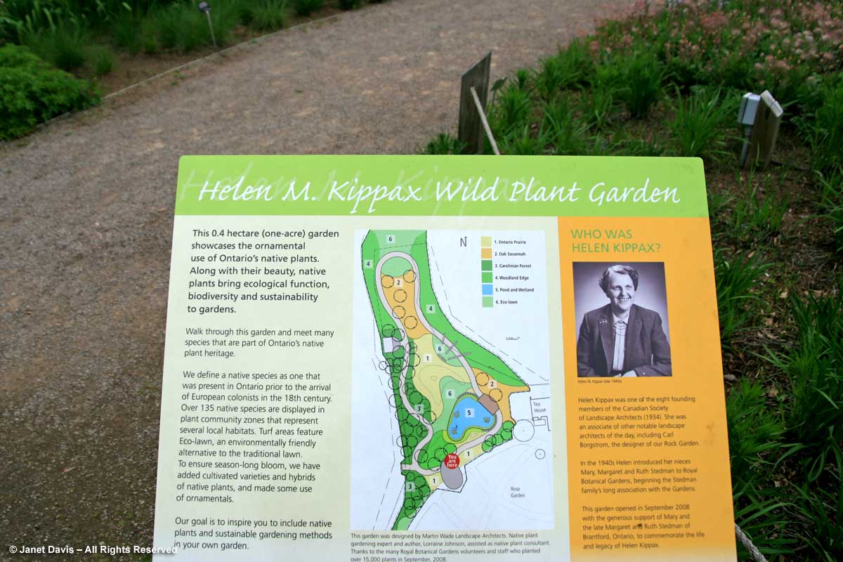 Helen Kippax Garden-Royal Botanical Garden-Martin Wade Design