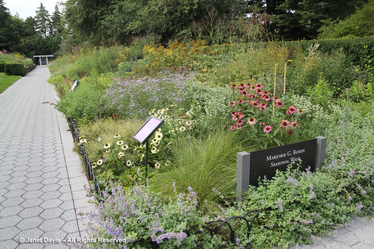 Marjorie J. Rosen Walk-New York Botanical Garden-Piet Oudolf Design