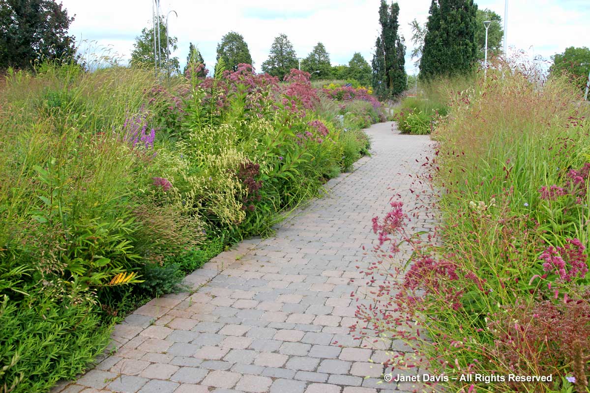 Piet Oudolf Entry Garden-Toronto Botanical Garden-September