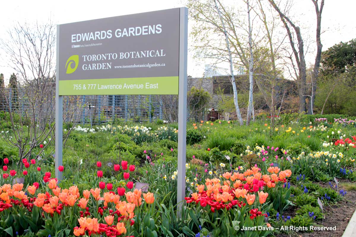 Seasonal 1c-Spring-Piet Oudolf Entry Garden-Toronto Botanical Garden
