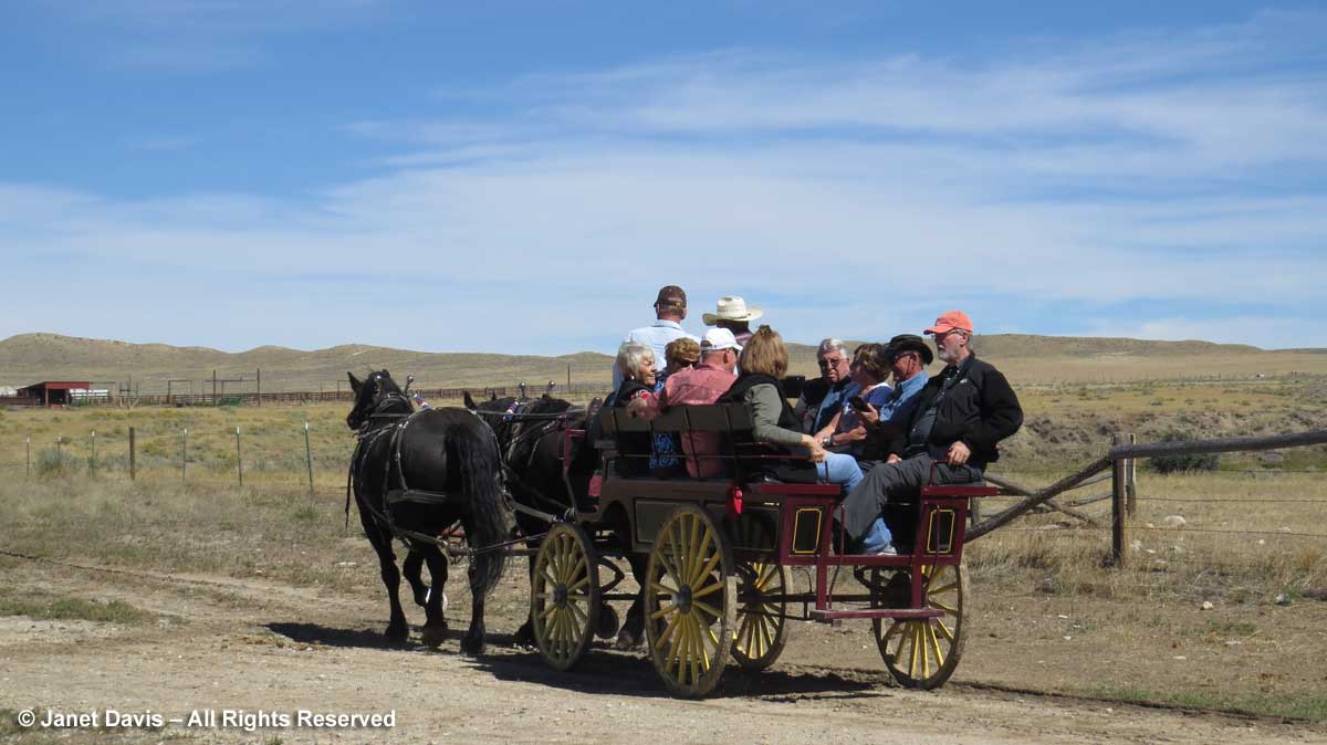 TA-Ranch-Wagon-Ride